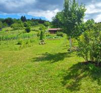 Garden in Bodovce on a residential plot, with trees and a sky dotted with clouds.