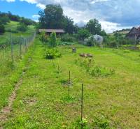 Greenery and gardens on the property in Bodovce on Bodovce Street, suitable for living.