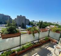 View from the balcony of a 4-room apartment on Dostojevského rad in Bratislava with flower pots.