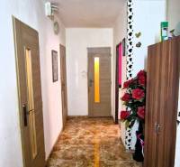 A hallway in a 3-room apartment with tiles, wooden doors, and decorative elements.