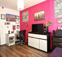 Living room of a 3-room apartment with a bright pink wall, a table, a chair, and a television.