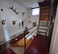 The interior of a cabin with a staircase, wall decorations, and a collection of hunting trophies.