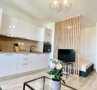 1-bedroom apartment with a kitchenette, TV, wooden partition, and flowers on the table.