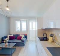 Living room in a one-bedroom apartment with a kitchenette and a sofa.
