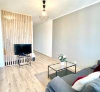 Living area of a studio apartment with a sofa, TV, and wooden partition.