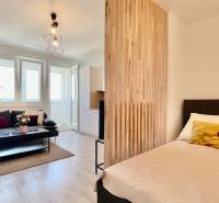 A studio apartment with a sofa, bed, and wooden partition wall.