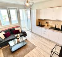 Living room in a studio apartment with a kitchenette and a sofa.