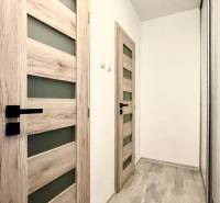 A hallway with light doors and a mirrored wardrobe in a one-room apartment.