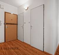 Entrance hallway in a 2-room apartment with wooden flooring and white walls.