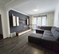 Living room in a 3-room apartment with a dark floor, gray sofa, and wall unit.