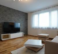 Living room in a two-room apartment with a stone wall, sofa, and television.