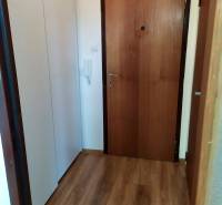 Entrance hall with doors and a built-in wardrobe in a studio apartment.