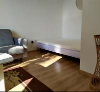 Living space of a studio apartment with a sofa, bed, and light wooden furniture.