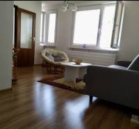 Living room in a one-room apartment with wooden flooring, a sofa, and large windows.
