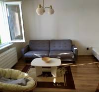 Living room with a sofa, coffee table, and armchair in a studio apartment.