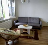 A bright living space in a studio apartment with a beige armchair and a gray sofa.