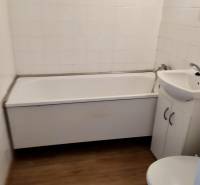 Bathroom in a studio apartment with a bathtub, sink, and toilet, wood-look tiles.