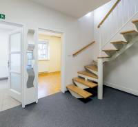 Interior of a family house with a staircase, doors and windows, carpet and tiles.