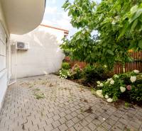 Family house on Hattalova Street in Bratislava - Nové Mesto with a terrace and garden.