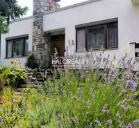 A family house in Plavecký Mikuláš with a front garden full of lavender and stone cladding.