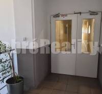 A corridor with plants and fire doors leading to the Office in Galanta on Priemyselná Street.