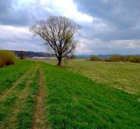 Landscape in Topoľovka, agricultural and forest land with a tree under a cloudy sky.