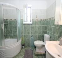 A bathroom in a family house with green tiles, a shower corner, and a sink.