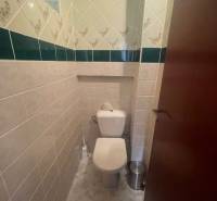 A toilet in a family house, with ceramic tiles and green accents on the walls.