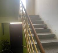 A staircase in a family house with bicycles and a plant on the windowsill.