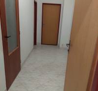 Hallway in a family house with tiles and wooden doors.