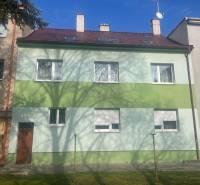 A family house on Kalinčiakova Street in Piešťany, green facade, shadow of a tree.