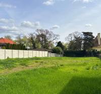 A green plot in Sládkovičovo suitable for living, surrounded by hedges and trees.