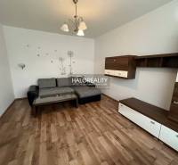 Living room in a one-room apartment with a sofa, table, and wall decor.