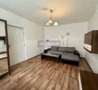Living room with a sofa, furniture, and decorative stickers in a studio apartment.