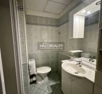 Bathroom with a shower, sink, and toilet in a studio apartment.