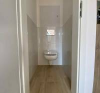 A toilet with a wall-hung WC and tiling in a 3-room apartment, with wooden flooring.