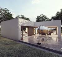 A family house in Trenčianske Jastrabie with a terrace, swimming pool, and a garden surrounded by trees.