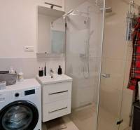 Bathroom with a washing machine, shower, and sink in a 2-room apartment.