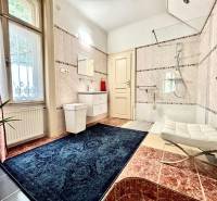 A bathroom in a 2-room apartment with a window, a bathtub, and a blue carpet.