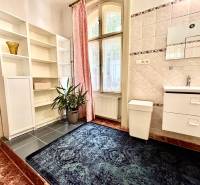A bathroom in a 2-room apartment with a sink, shelf, carpet, and plant.
