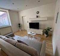 Living room in a two-room apartment with a sofa, television, and plants on parquet floors.