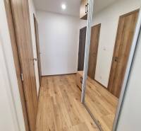 Wooden floor and mirrored wardrobe in the hallway of a 2-room apartment.