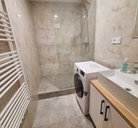 A bathroom with a washing machine in a 2-room apartment, with a walk-in shower and a sink.
