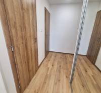 A hallway in a 2-room apartment with a wooden floor and a mirrored wardrobe.