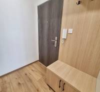 Entrance hallway with entrance door and wooden furniture in a 2-room apartment.
