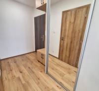 Entrance hall in a 2-room apartment with wooden floors and a mirrored wardrobe.