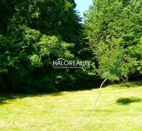 Greenery and trees on a sunny plot in Pernek suitable for living.