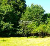 A green plot in the village of Pernek surrounded by trees, suitable for living.