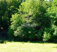 Plots - housing in Pernek surrounded by greenery and forest vegetation.