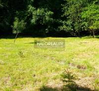 Sunny residential plots in Pernek surrounded by greenery and forest vegetation.